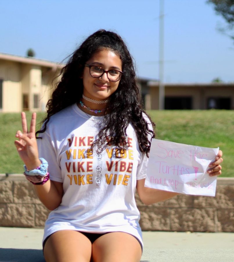 Spirit week allows students at DHS to show off their school spirit and creativity while being dressed up for Tik Tok Tuesday, Jaclyn Urzua, 10, went out of her way and created a sign that says “Save the turtles! And I oop- SKSKSKS” to fulfill her VSCO Girl look. “I went for the VSCO girl look because it was a fun and exciting way to show off Tik Tok day,” Urzua said. “I love dressing up for spirit week, so this was a great opportunity to get creative