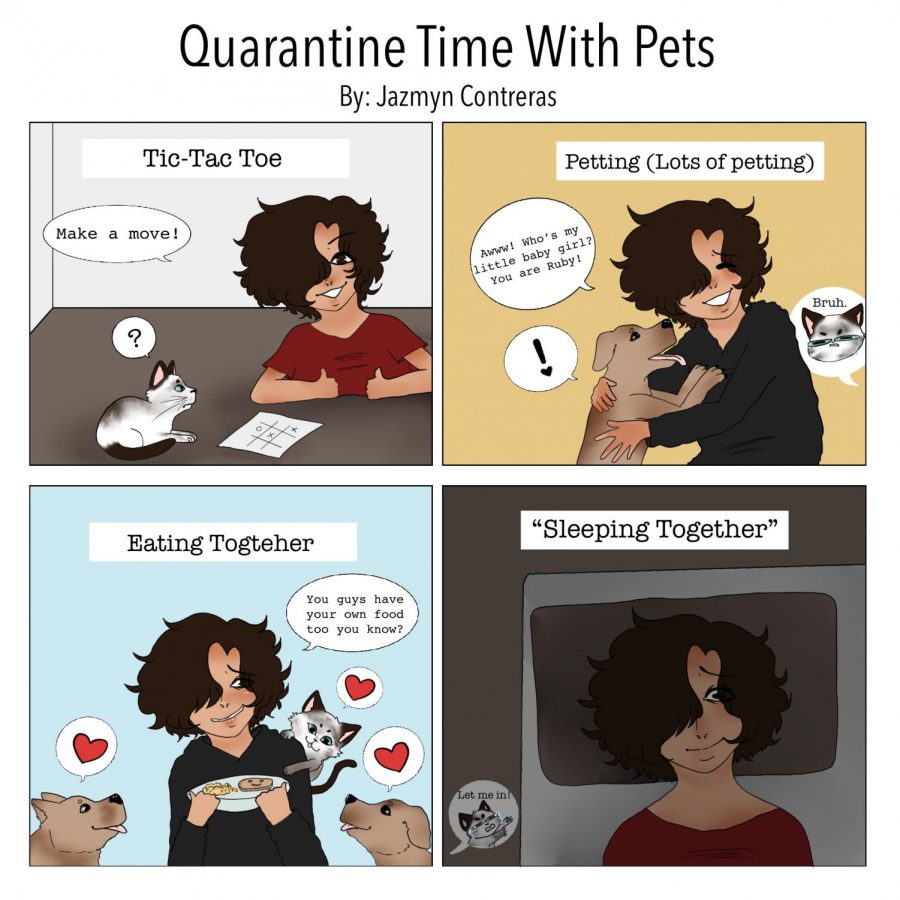 Quarantine Time With Pets