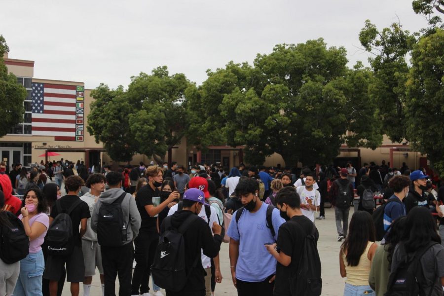 Now that schools are starting to open back up for the 2021-2022 school year, Downey High School has finally been able to return in person to campus school starting August 11, 2021. On March 13th, 2020 Downey High students were told they would only be staying home for two weeks max; which ended up being up to a year and a half of quarantine. Approximately 4000 students have come back to school and 300 stayed distance stated by Mr. Houts, Downeys fearless leader and principal.  As for students attending Downey High, 300 students are still doing distance learning making many students unaware of Downey’s school spirit and as for the new students how are they liking Downey after not being there in such a long time.