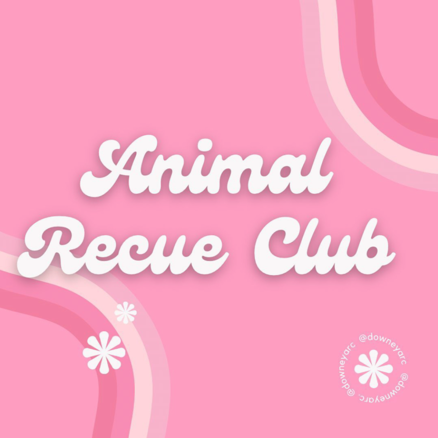 New Downey Animal Rescue Club